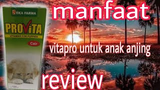 Review Manfaat Vitapro untuk Anak Anjing Apa yang Perlu Anda Ketahui [upl. by Einniw181]