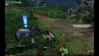 ArcheAge  Dein erstes Reittier [upl. by Friday]