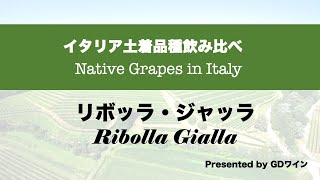 イタリアワイン土着品種を楽しもう1 リボッラジャッラ Italian grape indigenous varieties introduction 1 [upl. by Older]