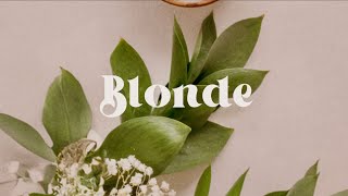 Avery Anna  Blonde Lyric Video [upl. by Vivian]