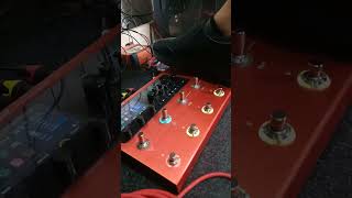 Whammy Pedal on Valeton GP200 latest Firmware 140 [upl. by Adehsar527]