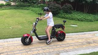 Big Harley Citycoco IV Electric Scooter 1000W 60V  Rental quotCarquot Review [upl. by Sum]