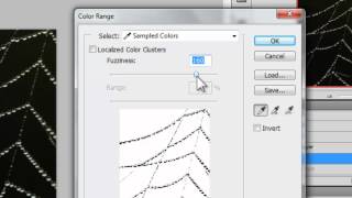 Adobe Photoshop  How to Remove Backgrounds with the Color Range Tool [upl. by Llennahc]