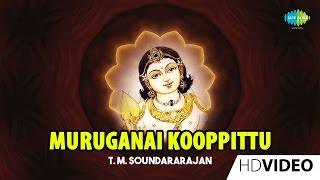 Muruganai Kooppittu  முருகனை கூப்பிட்டு  Tamil Devotional Video  TMS  Murugan Songs [upl. by Llekcm]