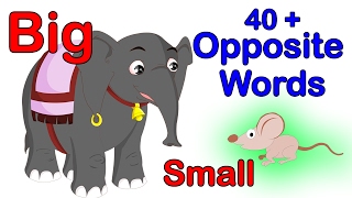 40 Opposite Words For Kids  Learn Opposites For Kids I Preschool Learning Videos  Kindergarten [upl. by Thatch800]