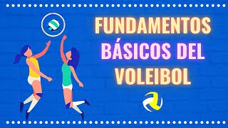 Fundamentos Básicos del Voleibol [upl. by Llevaj222]