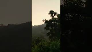 Dakho sobai🌹🌹ki sundor lagche goodmorning subscribe [upl. by Harbird741]