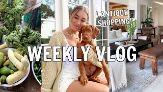 Weekend VLOG Picking on Each Other Antique Shop With Us Misguided Haul  Julia amp Hunter Havens [upl. by Earle]