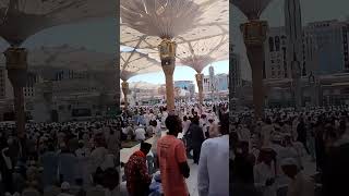 madina monowara beautiful vairalvideo vairalshort shortvairal [upl. by Rehprotsirhc]