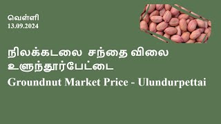 நிலக்கடலை சந்தை விலைஉளுந்தூர்பேட்டை  Groundnut Market Price  Ulundurpettai  13092024 [upl. by Oeram]