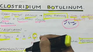 Clostridium botulinum  Microbiology  Handwritten notes [upl. by Eddy690]