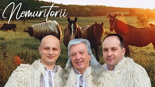 NEMURITORII  Muzica de Petrecere si Voie Buna 2020  Colaj Video [upl. by Adnawaj]