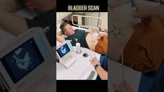 Bladder Scan Clinical Skills  LevelUpRN [upl. by Ayikur]