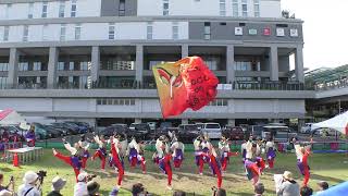 【4K】ど～んと Coco de 踊らん会Ebinaよさこい2024夏三部 [upl. by Ymled619]