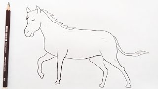 How To Draw A Horse  Easy horse drawing step by step [upl. by Amos]