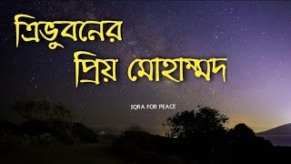 ত্রিভুবনের প্রিয় মোহাম্মদ  WITHOUT MUSIC  FEMALE VOICE  TRIBHUVAN ER PRIYO MUHAMMAD  youtube [upl. by Eerazed447]