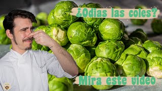 ¿ODIAS las COLES de Bruselas MIRA ESTE VIDEO  Probando la verdura que más odio [upl. by Macur]