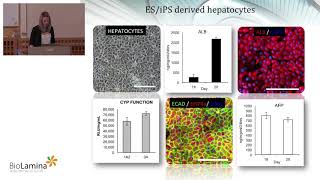 Efficient hepatocyte specification maturation and organization [upl. by Ahtilat303]