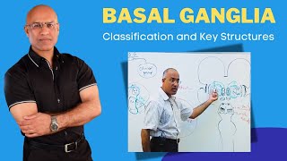 Basal Ganglia Classification and Key Structures  Neuroanatomy [upl. by Winton]