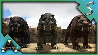 HIGHLEVEL SABERTOOTH PACK TAMING  Ark RAGNAROK DLC Gameplay S3E9 [upl. by Kathie]