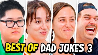 Dad Jokes  Dont laugh Challenge  Best Moments 3  Raise Your Spirits [upl. by Mclaurin316]