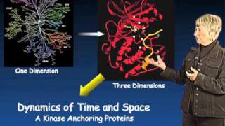 Susan Taylor UCSD Part 3 Protein Kinase Regulation and Localization [upl. by Arahset]