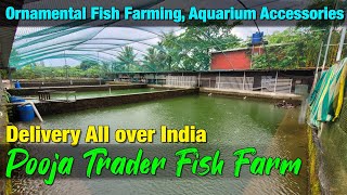 Secrets of Pooja Trader Fish Farm Revealed I Ornamental Fish Farming [upl. by Essilevi]