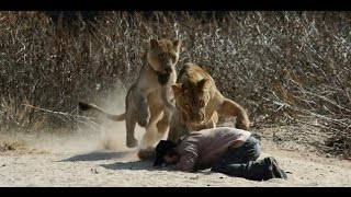 Live Hyderabad Zoo Park Lion AttackOMG [upl. by Leisam]