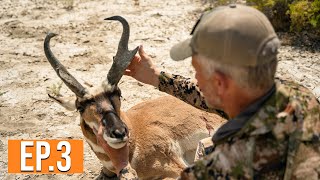 Public Land Pronghorn  Nevada Pronghorn EP 3 [upl. by Aria240]