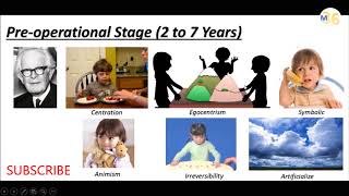 Pre Operational Stage by Piaget  KVS DSSSB DEd CTET Teaching  Mentors 36 [upl. by Rawna]