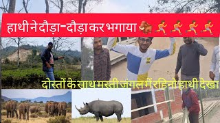 Dosto ke sath masti our jangli janwar dekhayoutubevlog viralvideo video sbrajakvlog [upl. by Ordnagela]