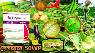 syngenta  PEGASUS সাদা মাছি  শোষক পোকা জাব পোকা ইত্যাদি পোকা দমন করুন BANGLA information USE [upl. by Ortensia616]