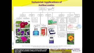 Anthocyanins Biosynthesis and Industrial Applications [upl. by Kitty]