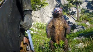 HUNTING THE LEGENDARY BEAR  Red Dead Redemption 2 Outlaw Life 4 [upl. by Anner380]