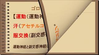 【歯科衛生士 国家試験対策】４ 末梢神経の伝達物質 Drデン山のDHスクール 歯科衛生士国家試験対策 [upl. by Madalyn658]