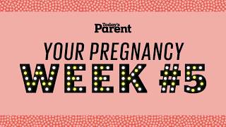 Your pregnancy 5 weeks [upl. by Afaw]