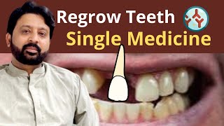 How to Regrow Your Teeth with a Single Medicine  New Japanese Research [upl. by Amery549]