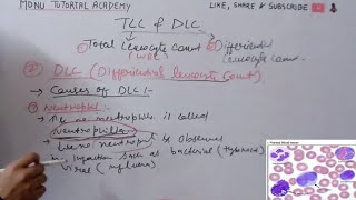 tlc and dlc  total leukocyte count  differential leukocyte count [upl. by Cynar]