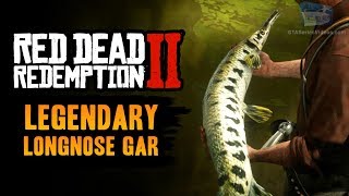 Red Dead Redemption 2 Legendary Fish  Legendary Longnose Gar [upl. by Rosner]