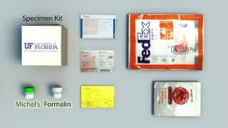 UF Health Pathology Laboratories Renal Specimen Collection and Handling Tutorial [upl. by Ahsercul]