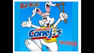 MIX CUMBIA INTERNACIONALES CONEJOS DJ KC 2021 [upl. by Damha]