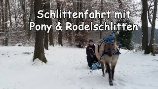 Schlittenfahren mit Pony und Rodelschlitten [upl. by Paton]