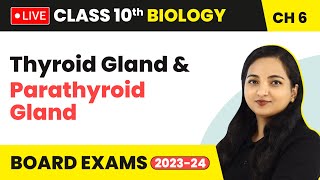 Thyroid Gland amp Parathyroid Gland  Control and Coordination  Class 10 Biology Chapter 6 LIVE [upl. by Oniotna]