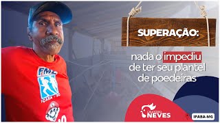 Superação Enfrentando todas as dificuldades ele cuida do seu plantel de poedeiras [upl. by Adaurd]