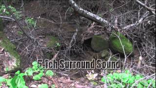 Canon SMV1 51ch Surround Sound Microphone Test [upl. by Adnilrem]