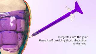 Arthramid Vet mechanism of action [upl. by Atikan]