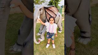 Anaya Or Papa Ne Ki Little Elephant Ki Help 🥺 [upl. by Post38]