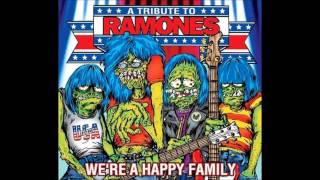 Metallica53rd and 3rd Ramones Cover [upl. by Delaney]