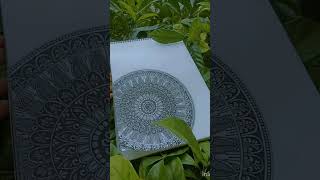 Mandala Design  Circle Style Mandala Design mandala mandaladesign circle stylish calligraphy [upl. by Celie451]