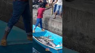 Maldives Fish Market 🐟 Where They Come From 🐠SUBSCRIBE🔔shorts maldives travel fishing viral [upl. by Atoked]